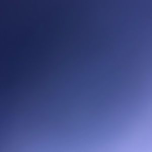 Meet your Posher, Joy